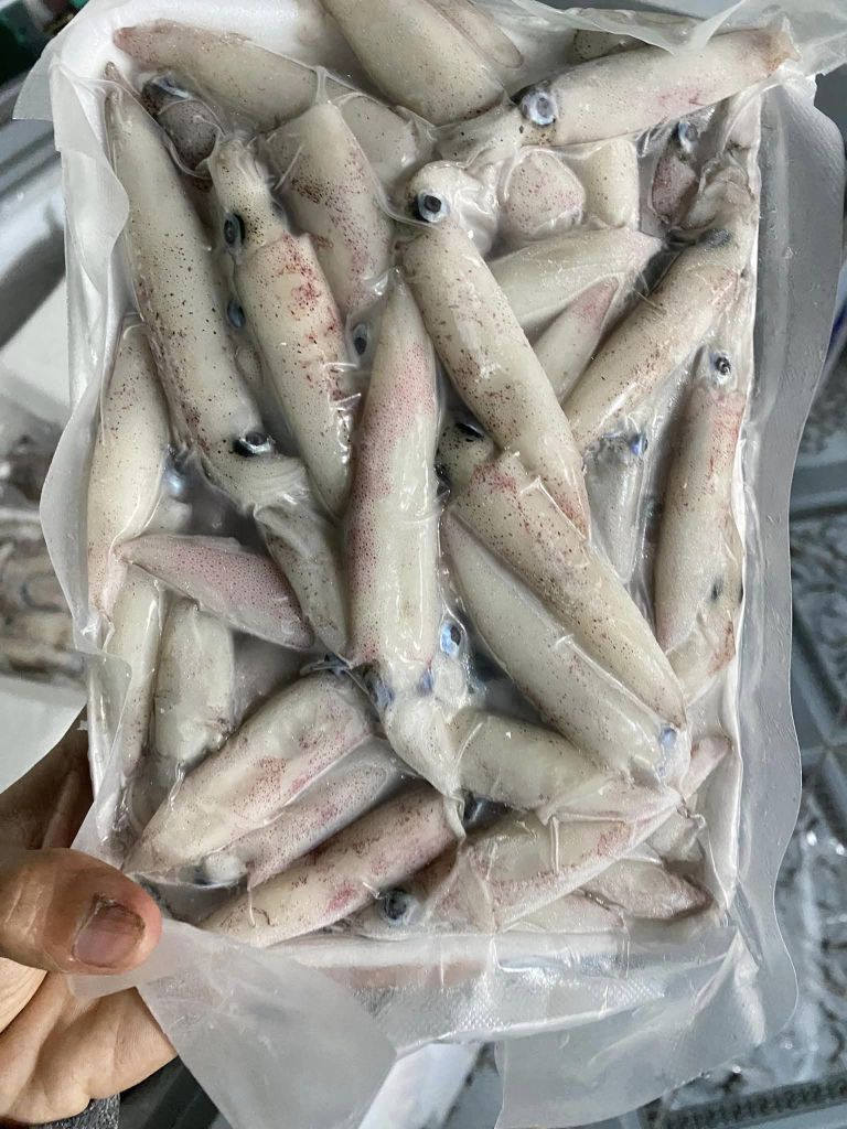 Mực Sữa Phú Yên - Vỉ 500gr