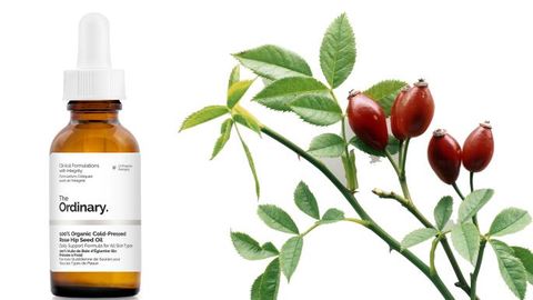 Dầu dưỡng da The Ordinary Organic Cold-Pressed Rose Hip Seed Oil