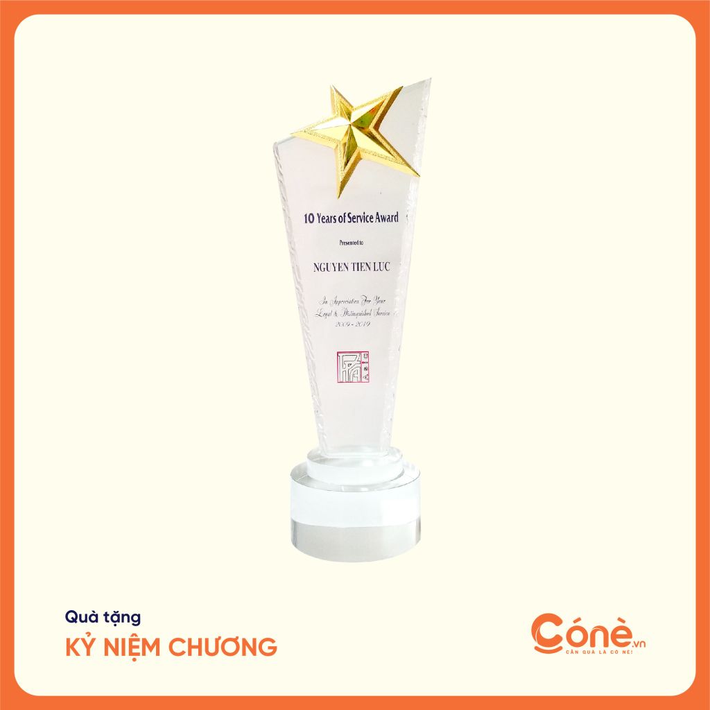 [KNC004] Kỷ Niệm Chương Ngôi Sao Nổi