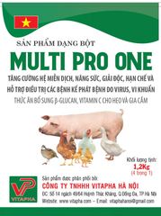 Multi Pro One