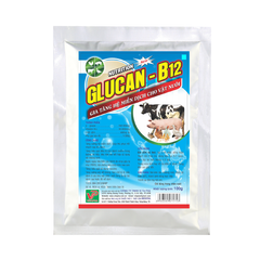 Glucan B12