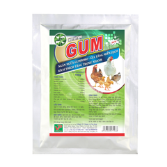 Gum