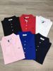 Polo Lacoste cá cùng màu nữ