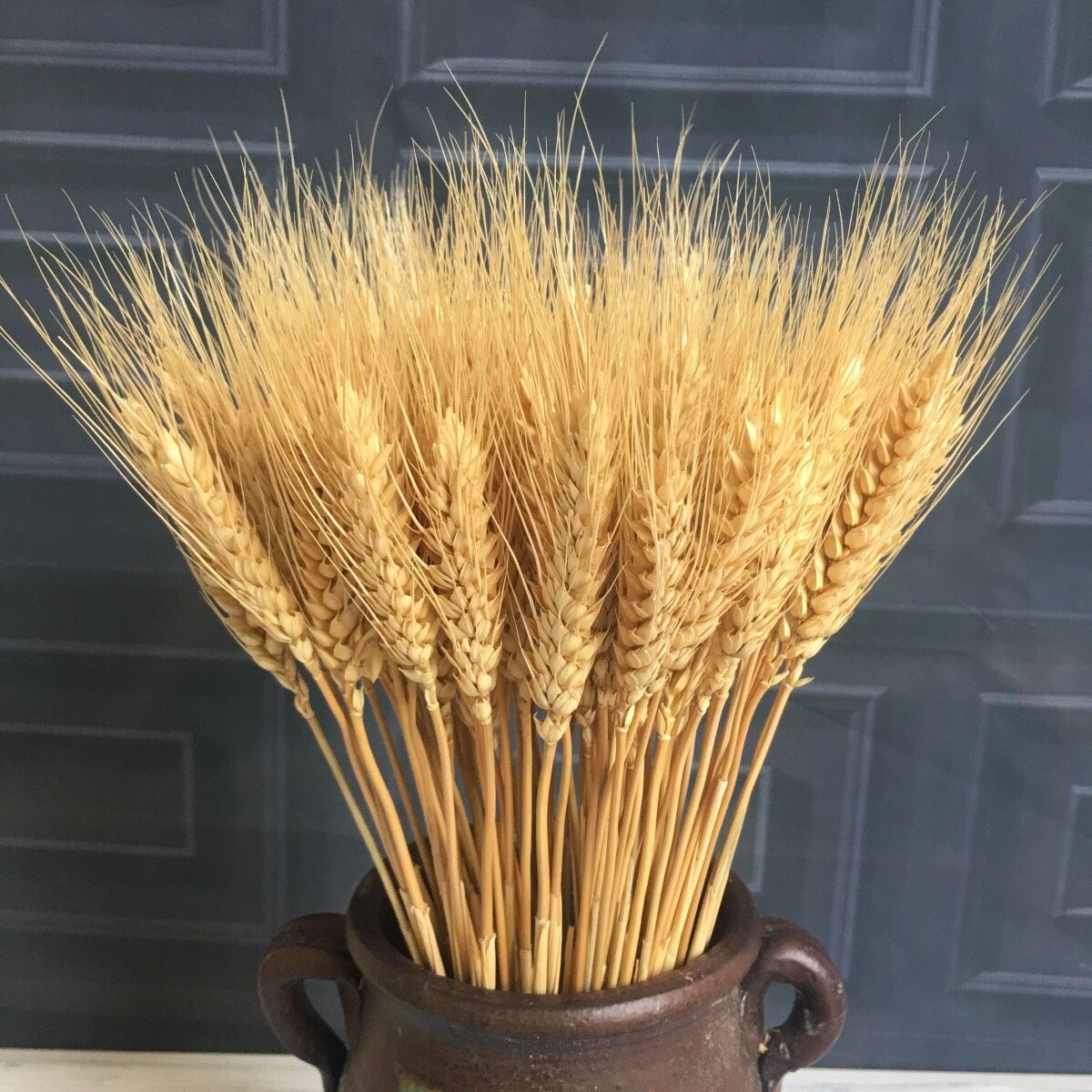 Hoa khô lúa mạch vàng nhập khẩu - The bamboo - Hoa khô trang trí