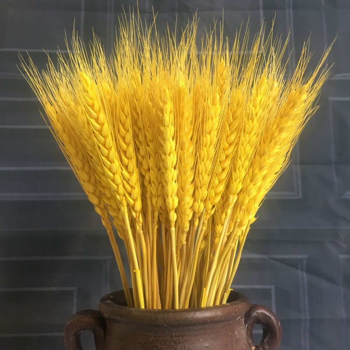 Hoa khô lúa mạch vàng nhập khẩu - The bamboo - Hoa khô trang trí