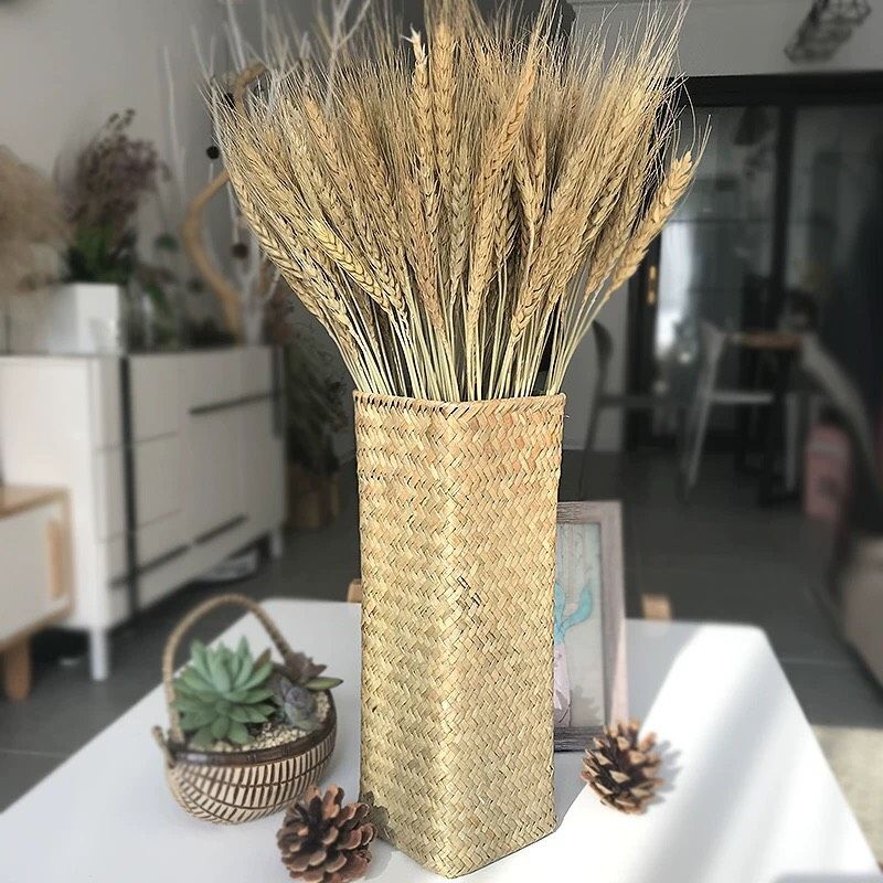 Hoa khô lúa mạch tự nhiên nhập khẩu - The bamboo - Hoa trang trí