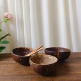 Bát Chén gáo Dừa BAMBOO HOME cao cấp dùng ăn Salad, hoa quả dầm, đựng sinh tố, kem, chè, papaya thân thiện môi trường