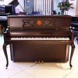 Đàn Piano Yong Chang C-116