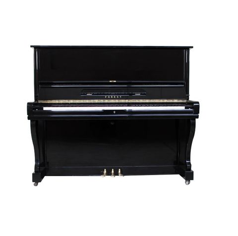 Đàn Piano Forest FU55