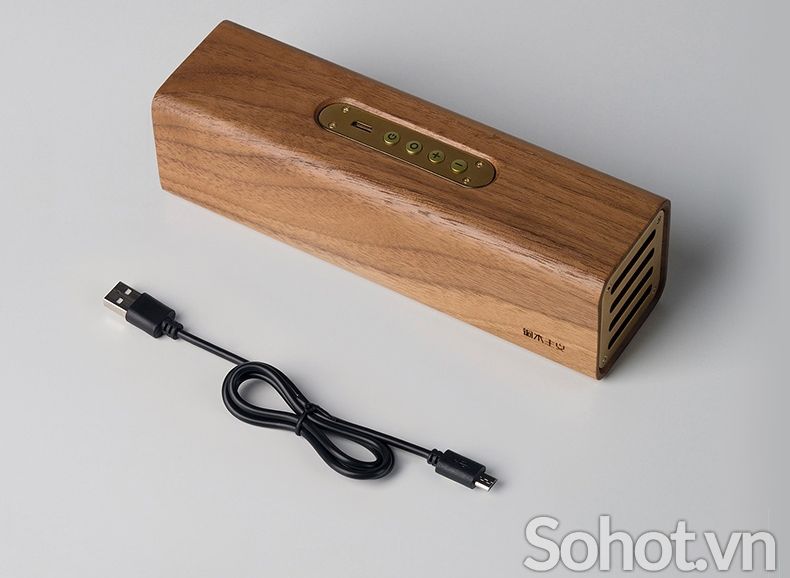 Loa Bluetooth gỗ óc chó