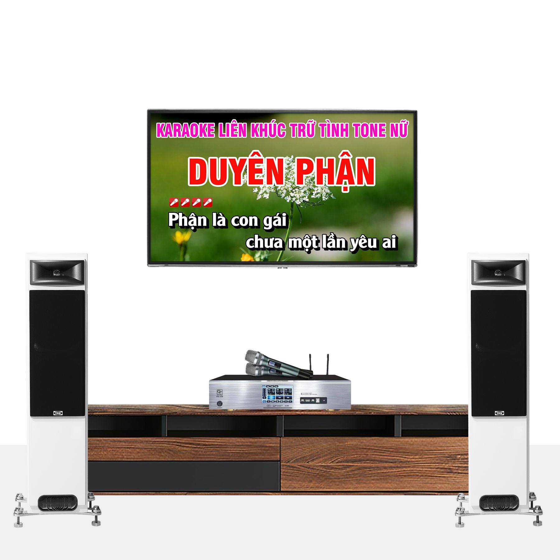 DÀN KARAOKE GIA ĐÌNH TRS 01