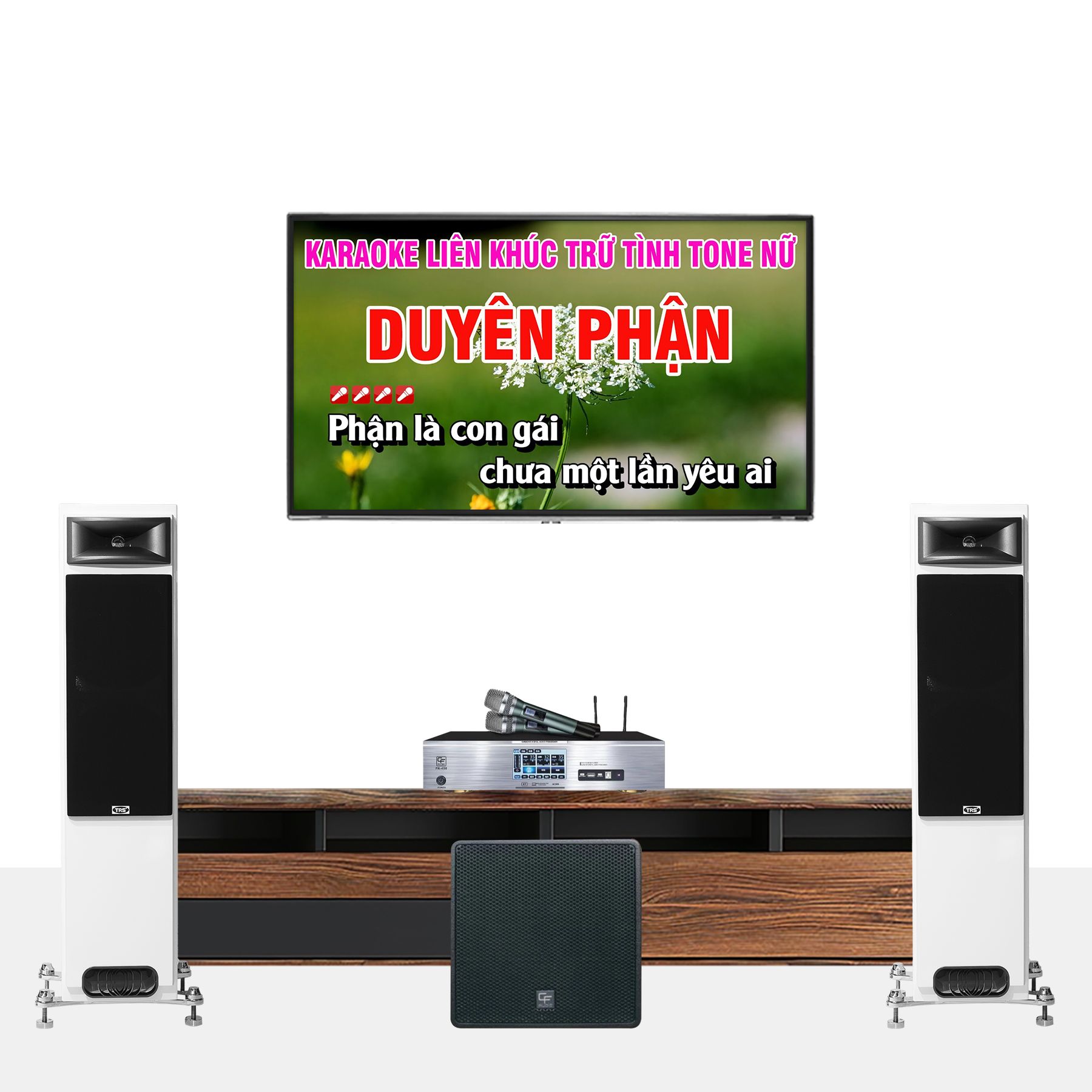 DÀN KARAOKE GIA ĐÌNH TRS 02