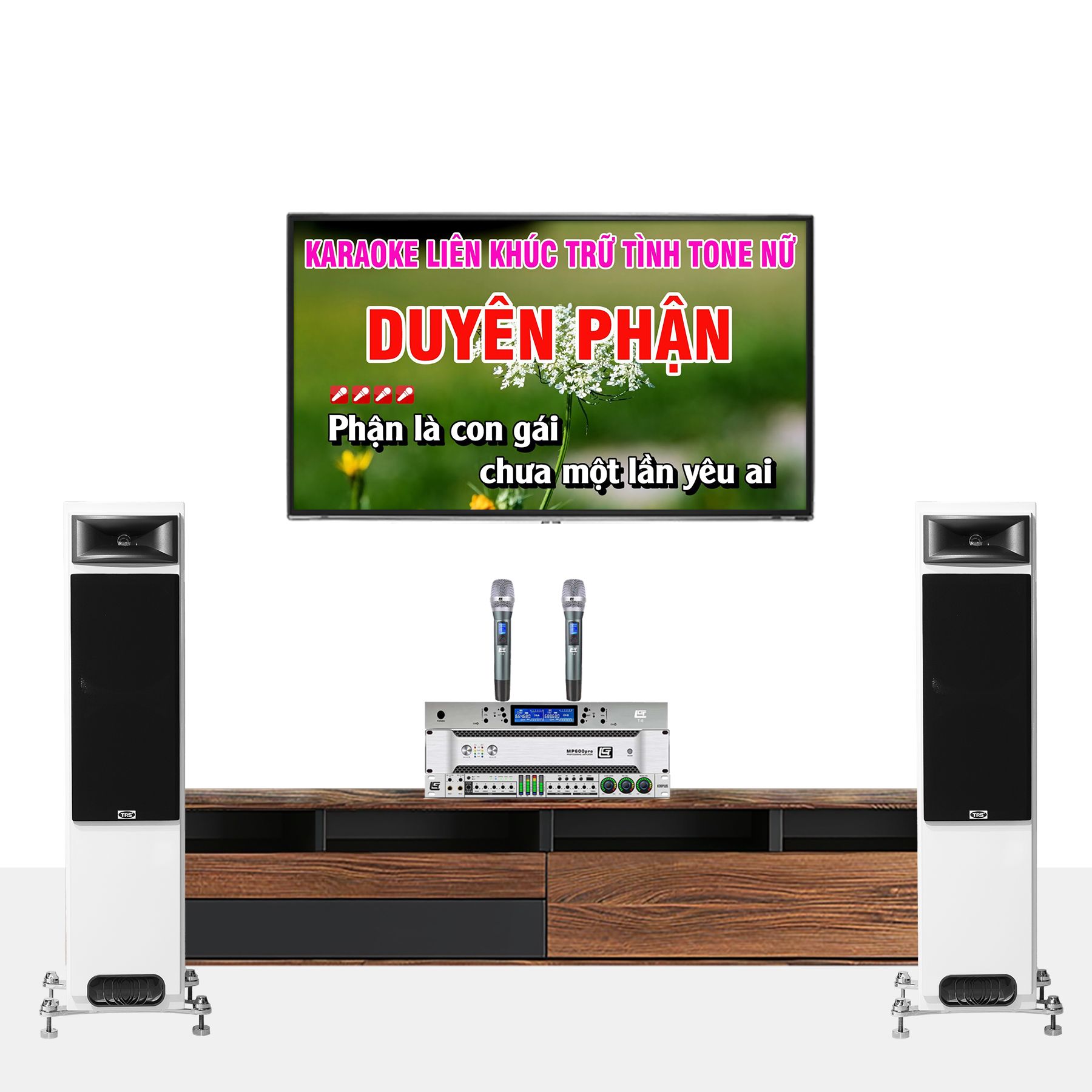 DÀN KARAOKE GIA ĐÌNH TRS 03