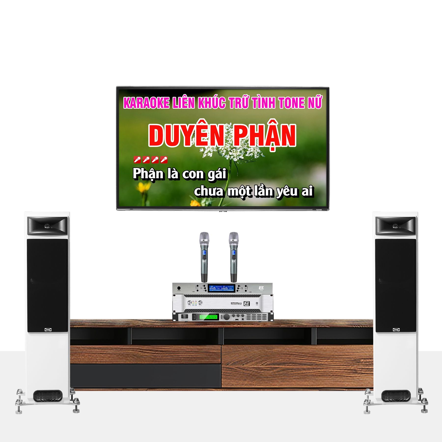 DÀN KARAOKE GIA ĐÌNH TRS 04