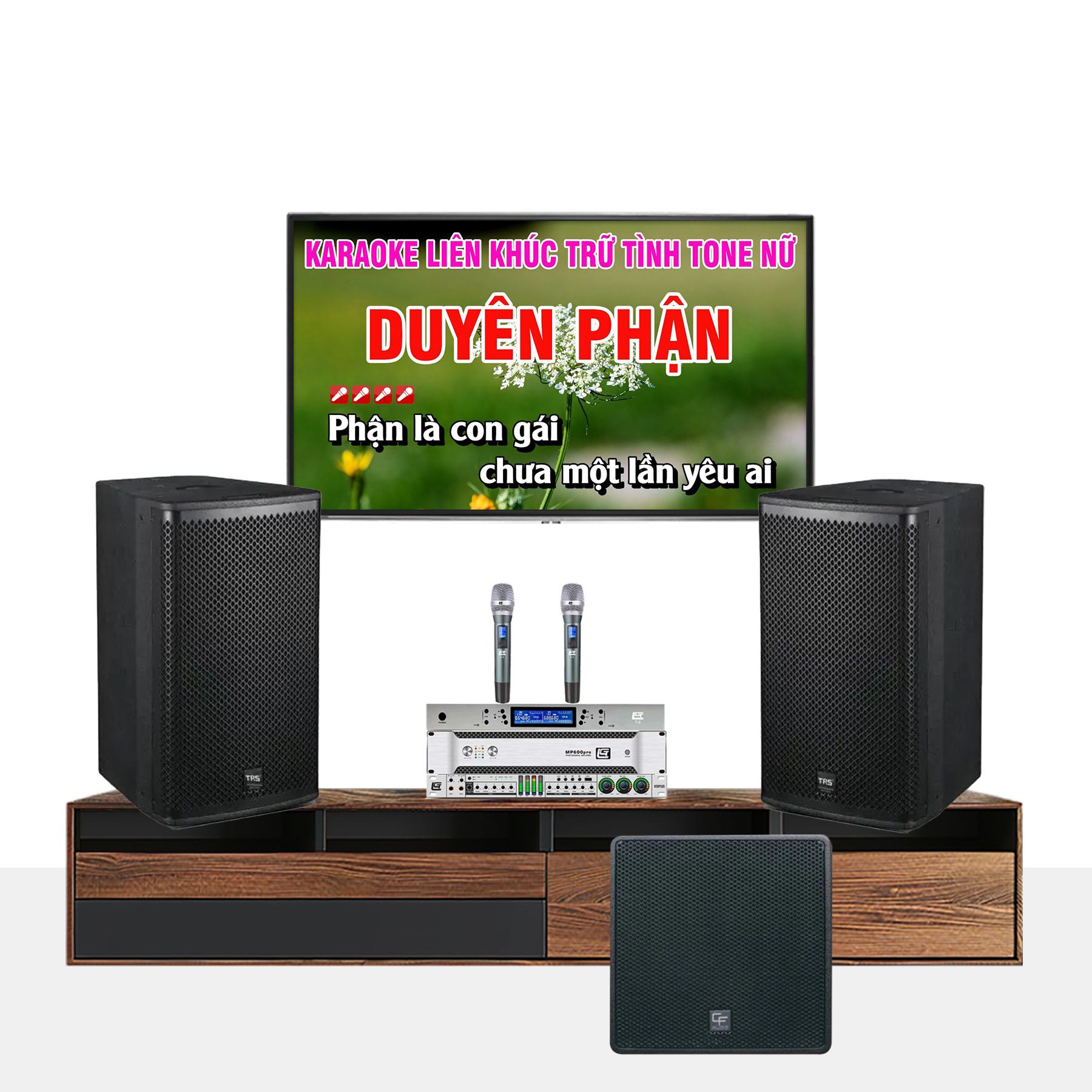 DÀN KARAOKE GIA ĐÌNH TRS 05