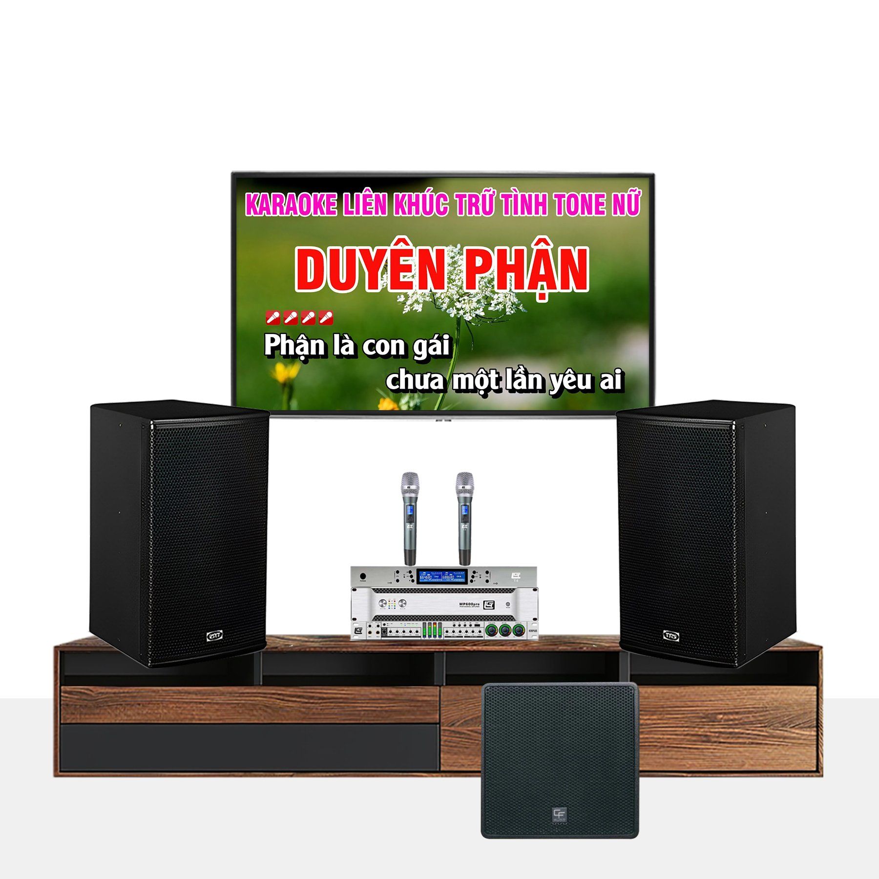 DÀN KARAOKE GIA ĐÌNH TRS 07