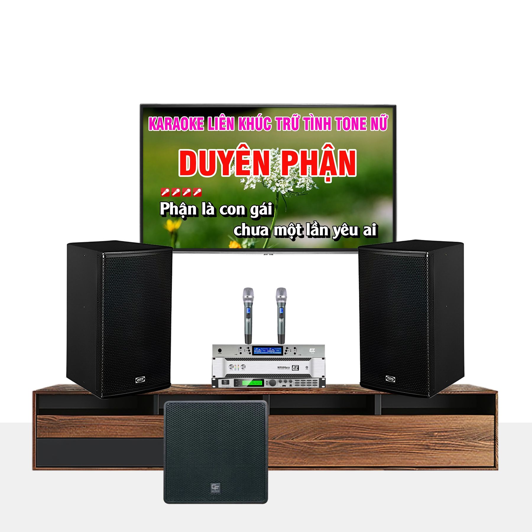 DÀN KARAOKE GIA ĐÌNH TRS 08