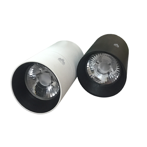 Đèn LED Downlight Model 10C