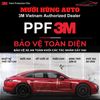 Dán PPF 3M Ô Tô 7 Chỗ