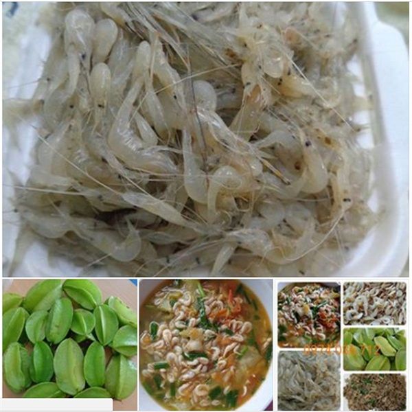 Tép đồng