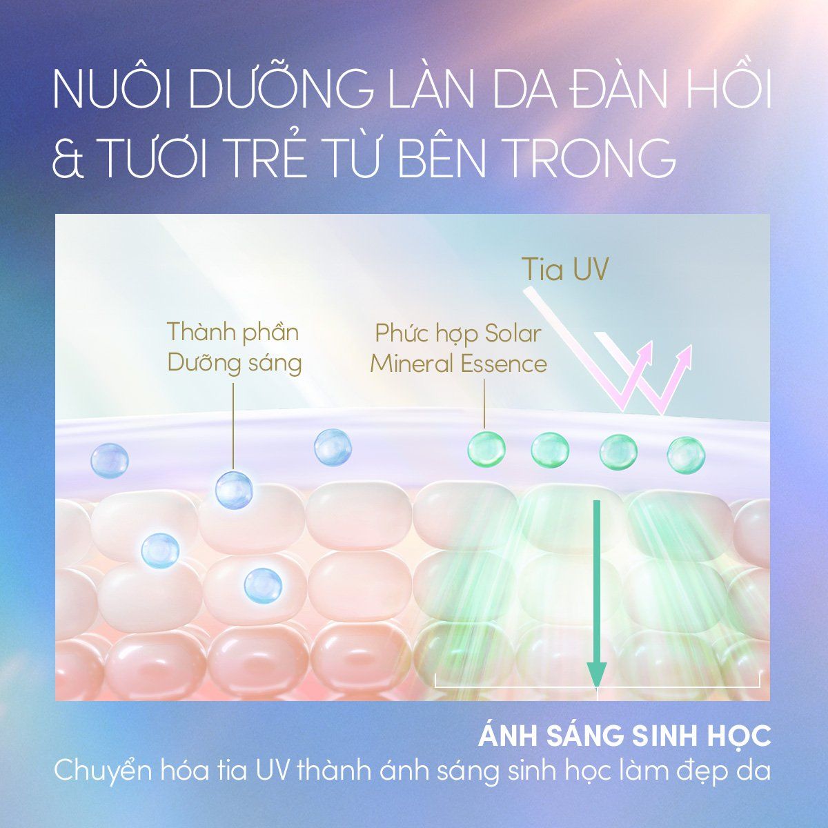 C2: DEAL 10: COMBO SERUM CHỐNG NẮNG & SỮA CHỐNG NẮNG BẢO VỆ VÀ DƯỠNG DA AN TOÀN CHO DA NHẠY CẢM ANESSA DAY SERUM 30ML + MILD MILK 60ML