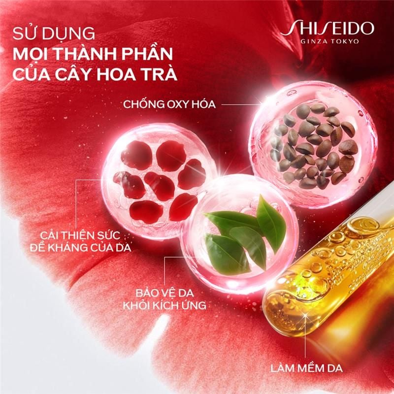 C53: DEAL 1: TINH CHẤT TÁI TẠO VÀ PHỤC HỒI CHO LÀN DA 50ML