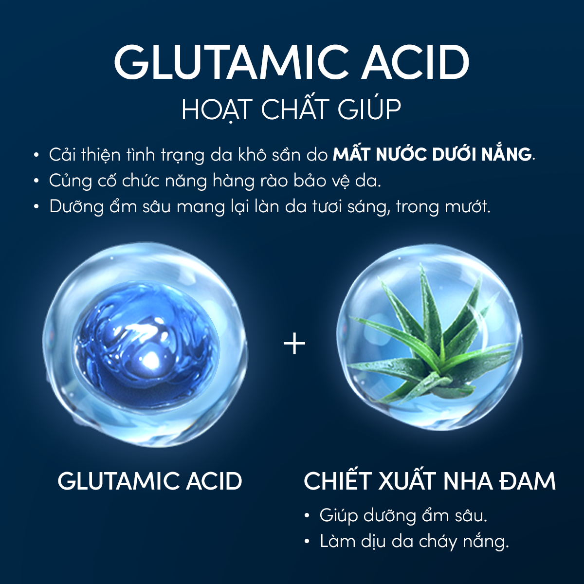 C19: DEAL 26 BACK-UP: COMBO SỮA CHỐNG NẮNG & SERUM PHỤC HỒI TỔN THƯƠNG SAU NẮNG CHO MẶT - TOÀN THÂN ANESSA GOLD MILK 60ML + NIGHT SERUM 180ML