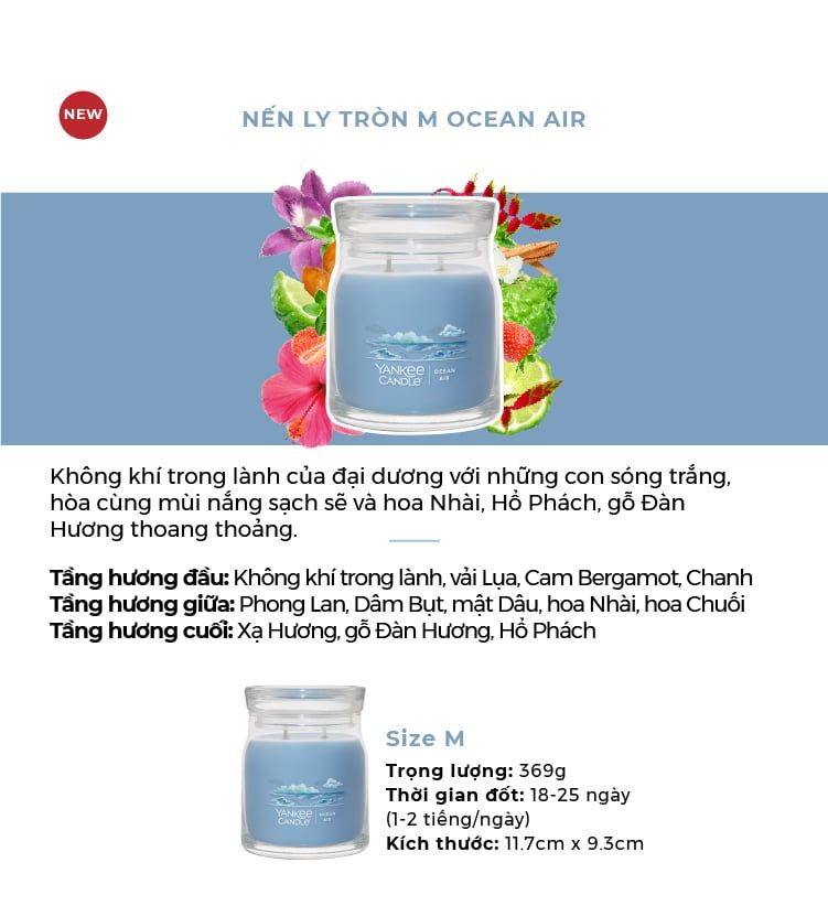 DEAL 4: MUA NẾN LY TRÒN SÁP ĐẬU NÀNH SIZE M MUA 1 TẶNG 1 (CHỌN THÊM MÙI NOTE TRONG GHI CHÚ)