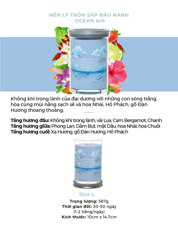 A239_DEAL 1: MUA ĐÈN ĐỐT NẾN HẸN GIỜ 4HOME VÀ NẾN LY TRÒN SÁP ĐẬU NÀNH YANKEE CANDLE SIZE L