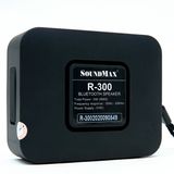 Loa SoundMax R300