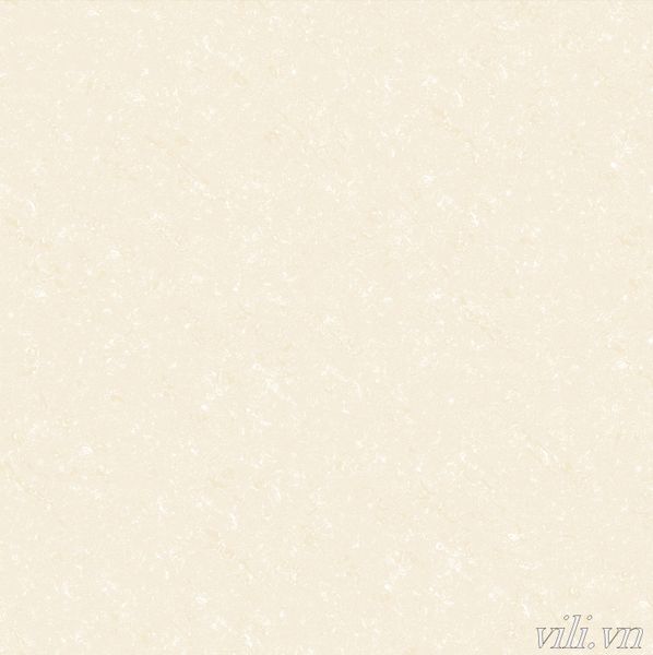 Gạch lát nền 60X60  World Tiles 6311 bóng