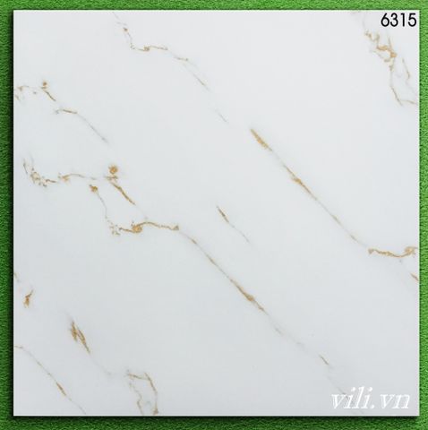 Gạch lát nền 60X60  World Tiles 6315 bóng