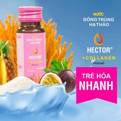 Nước uống đẹp da trẻ hóa Đông Trùng Hạ Thảo Hector Collagen có tốt không? Mua ở đâu? Giá bao nhiêu