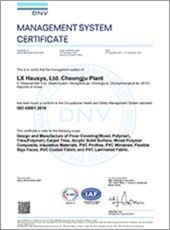 iso 45001 certification oksan plant dec 01 2024