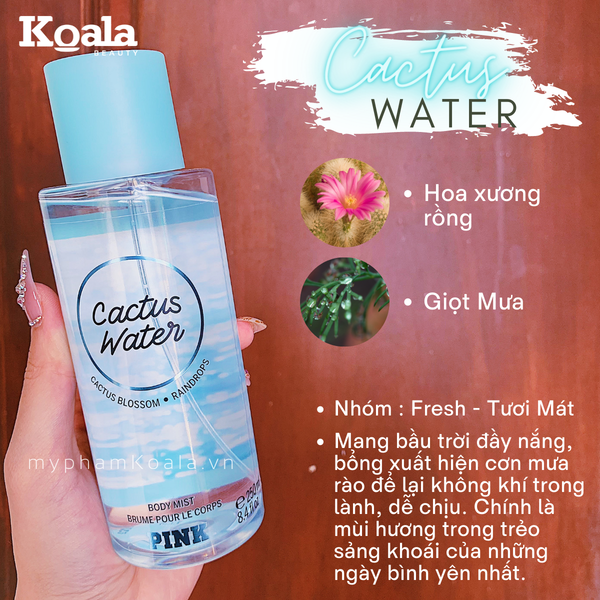 pink cactus water body mist