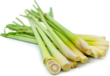  Sả đông lạnh (Frozen Lemongrass) 