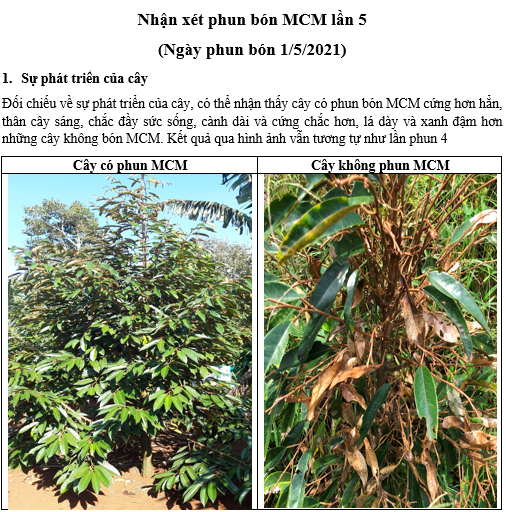 Phân bón hữu cơ vi sinh MCM