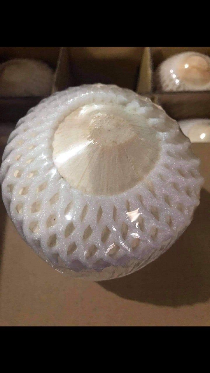 Dừa tươi xuất khẩu (Fresh Coconut)