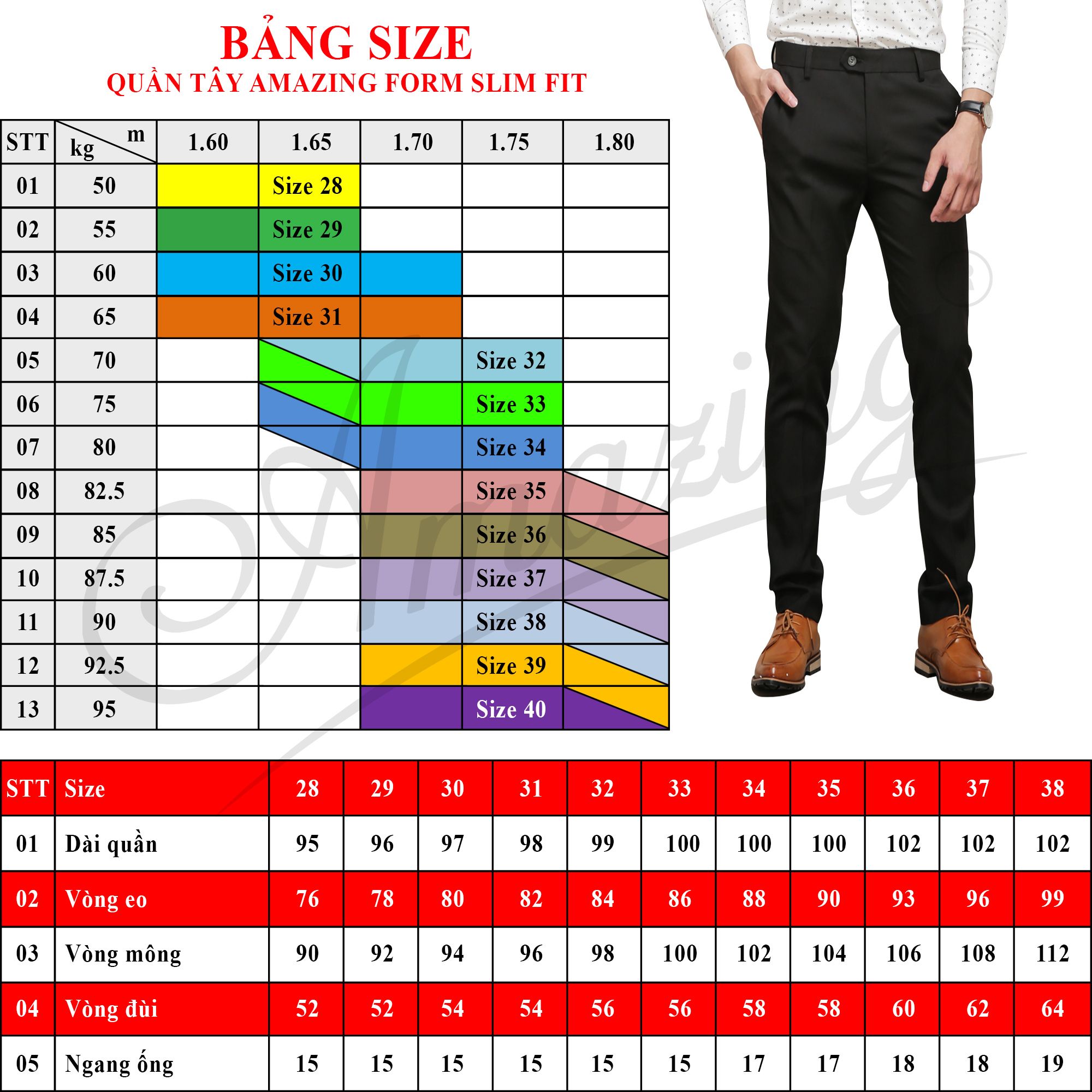 Quân tây nam body Amazing, form ôm trẻ trung, màu sắc đa dạng, vải co giãn