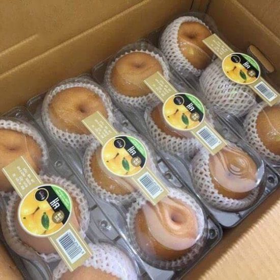 Hộp Nhựa 3 Trái (Ngăn) / Hộp nhựa đựng trái cây