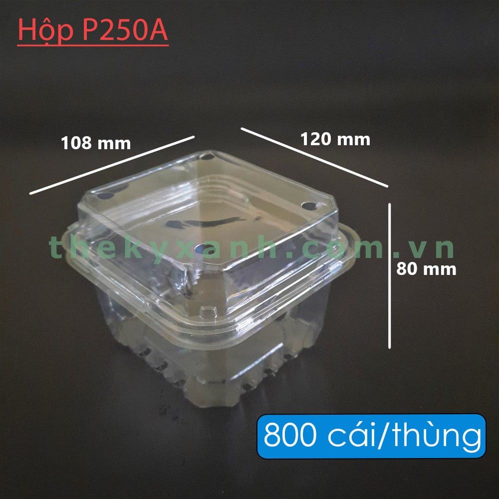 Hộp Nhựa P250A / Hộp đựng dâu, cherry, cà chua bi