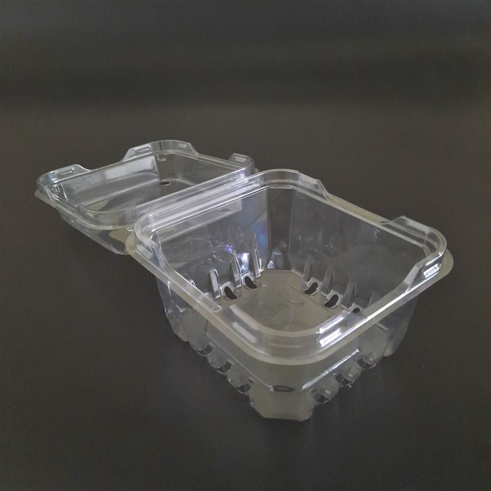 Hộp Nhựa P250A / Hộp đựng dâu, cherry, cà chua bi