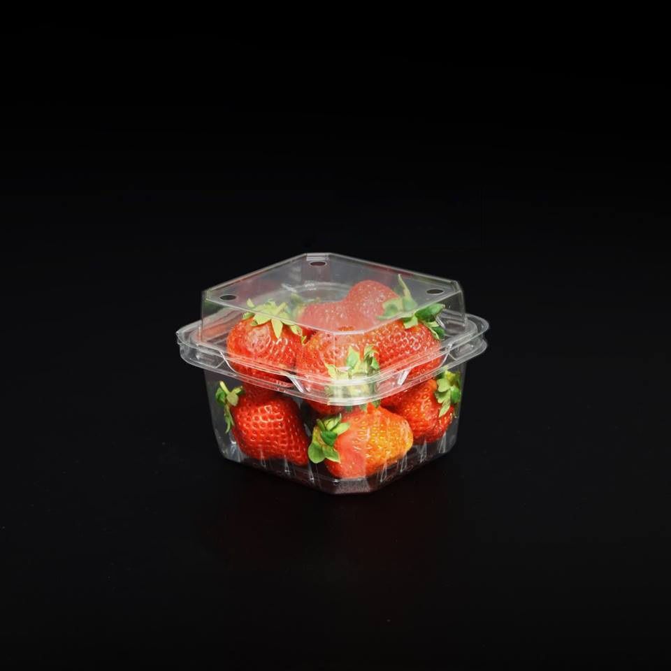 Hộp Nhựa P250A / Hộp đựng dâu, cherry, cà chua bi