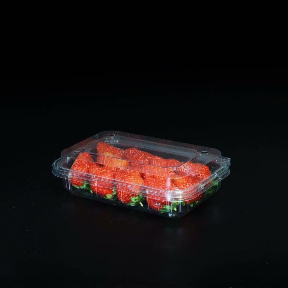 Hộp Nhựa P350A / Hộp đựng dâu, cherry