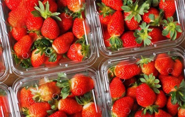 Hộp Nhựa P350A / Hộp đựng dâu, cherry