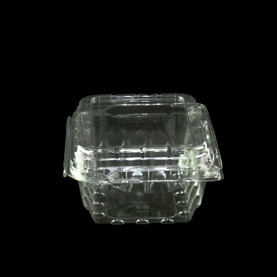 Hôp Nhựa P500C Đựng Trái Cây (500g)