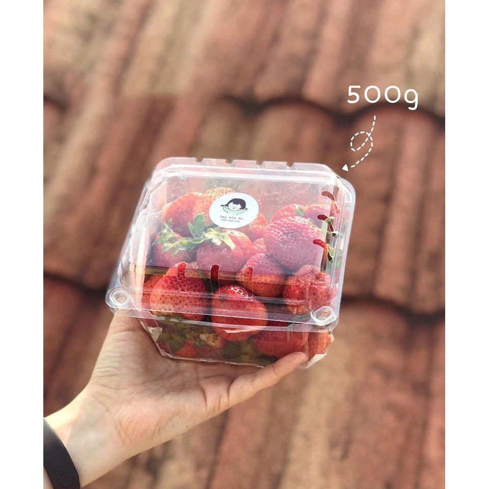 Hộp Nhựa P500D (500g) / Hộp đựng trái cây: táo, nho...