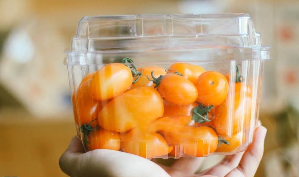 Hộp Nhựa P500D (500g) / Hộp đựng trái cây: táo, nho...