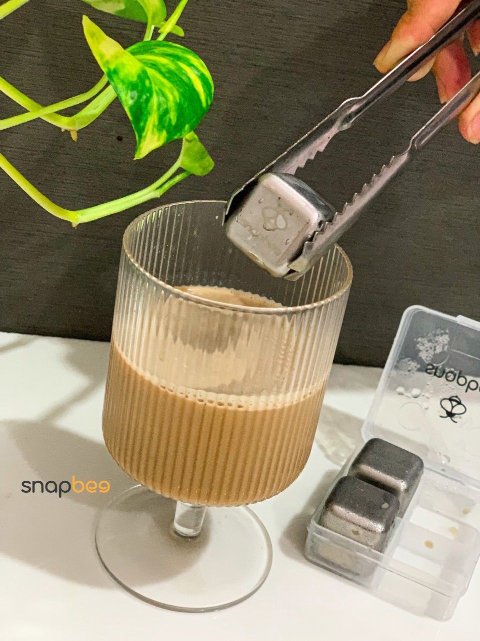 Snapbee - Đá vĩnh cửu