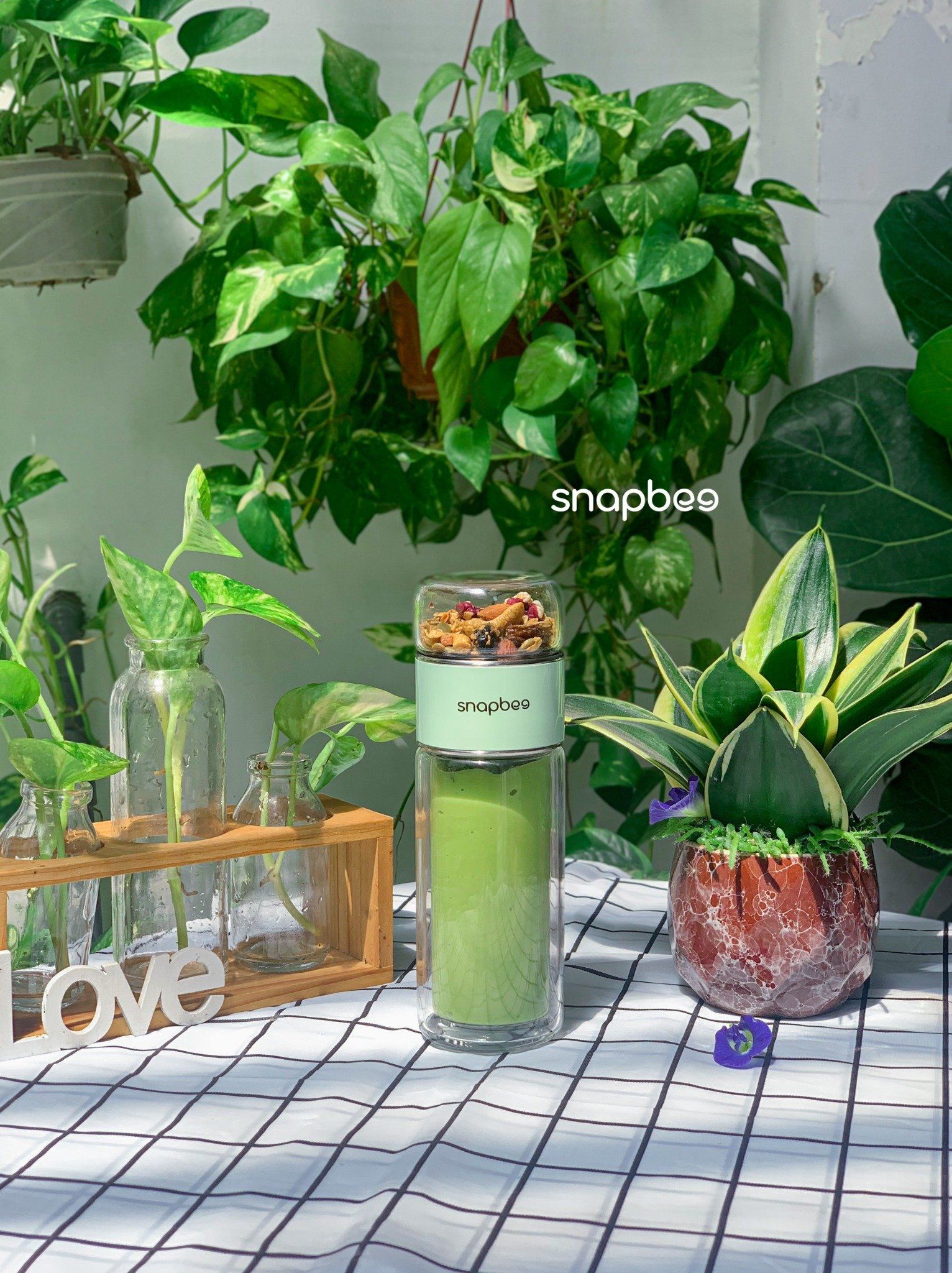 Snapbee - Bình thủy tinh 2 lớp